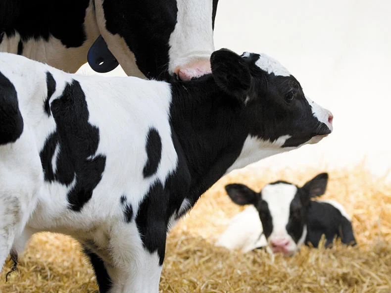 Wissensdatenbank NR Agri